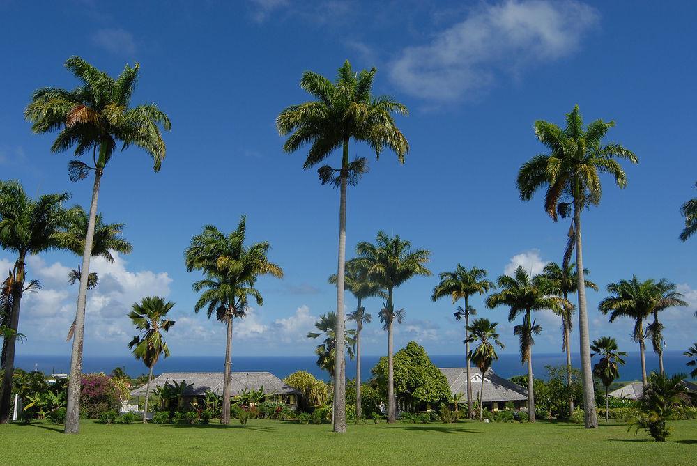 Ottleys Plantation Inn Cayon Dış mekan fotoğraf